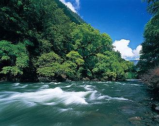 《星球大战：法外狂徒》战斗将不仅仅是掩体射击